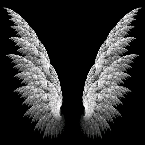 draginflywings